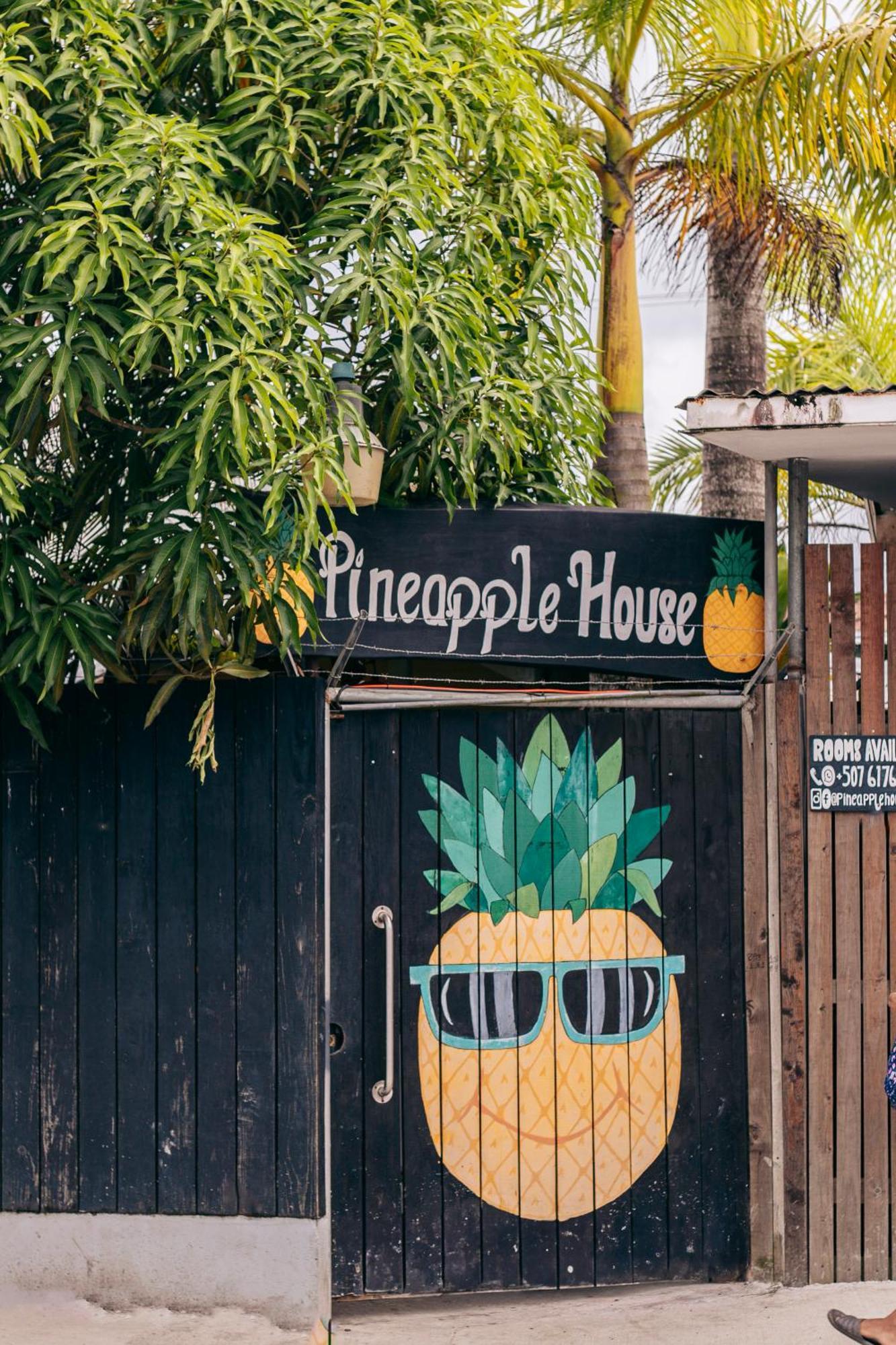 Guest house Pineapple House Bocas del Toro